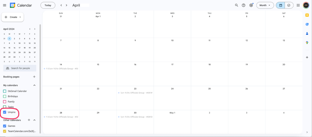 Google Umpire Schedule